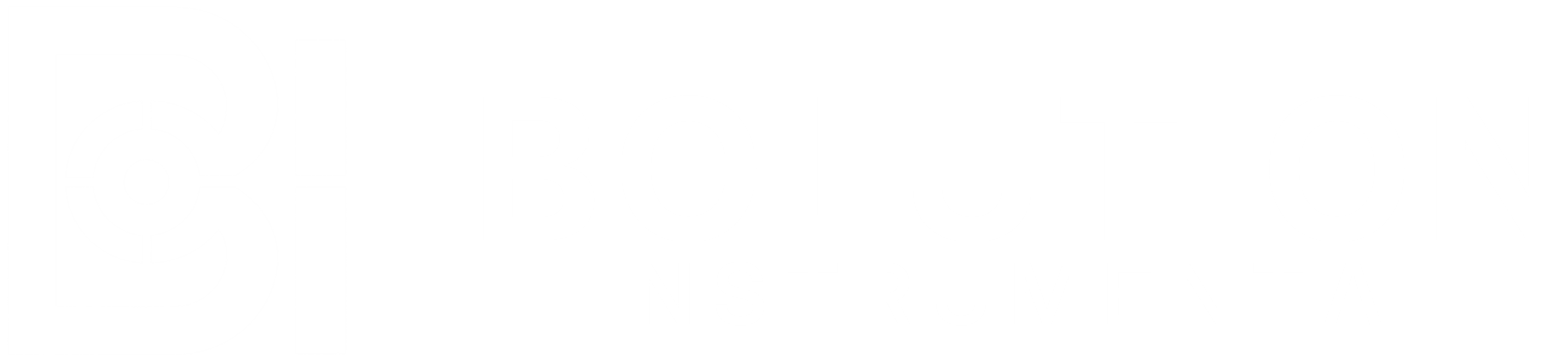BOLUTION Instrumental